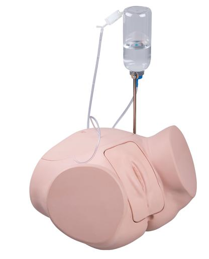 Catheterization Simulator PRO Female - 3B
